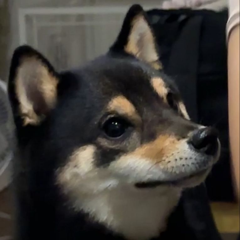 こてつちゃん