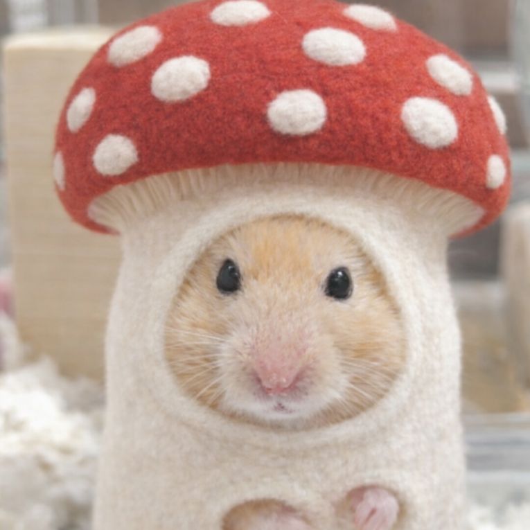 ポテトちゃん