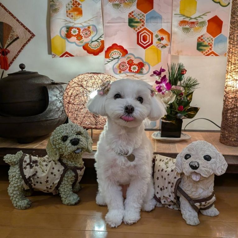 シェリーちゃん