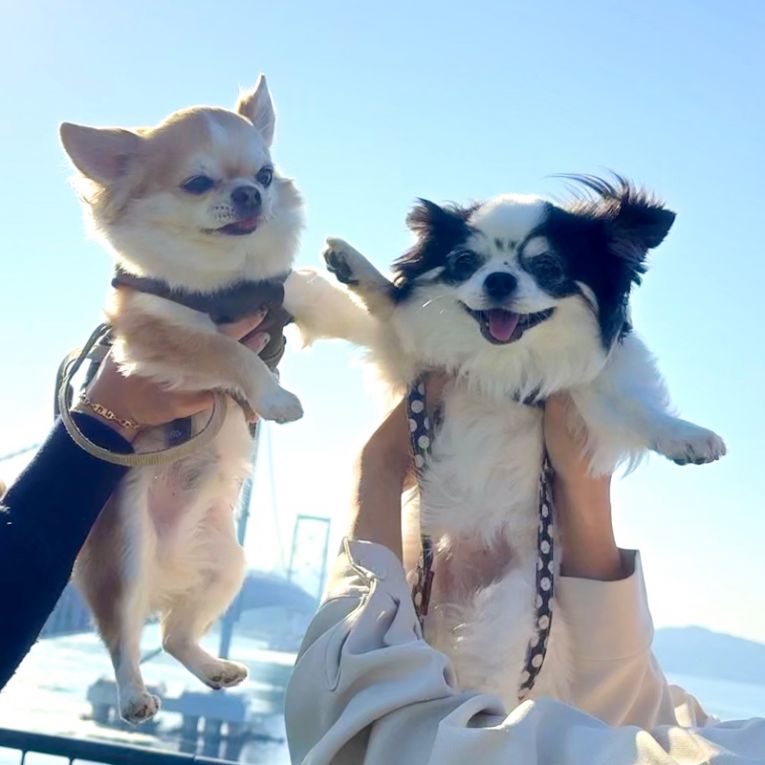 もんじゃ&もなちゃん