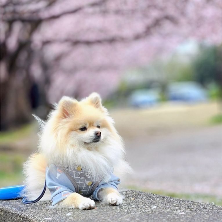 つむぎちゃん