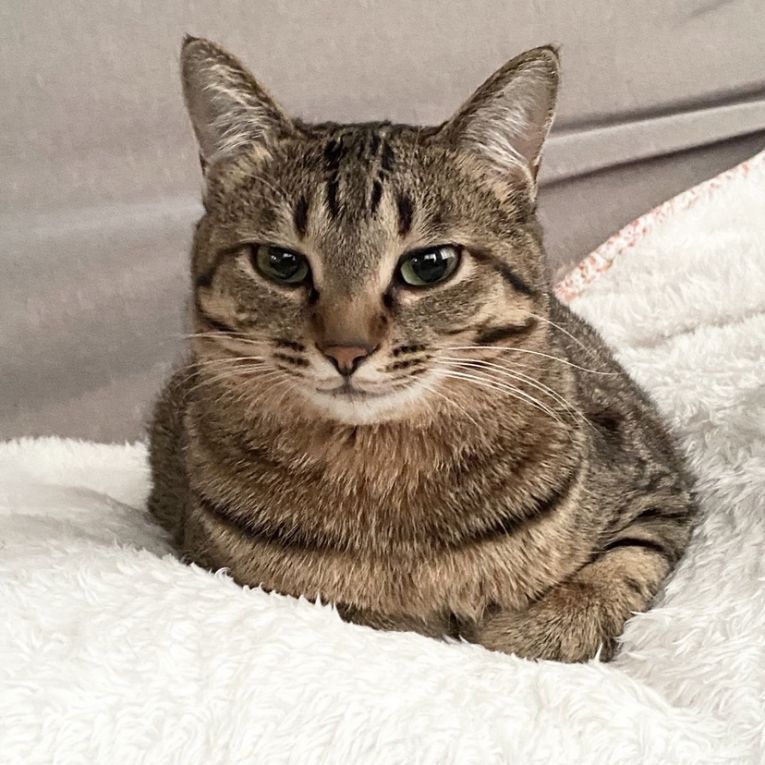 くるみちゃん