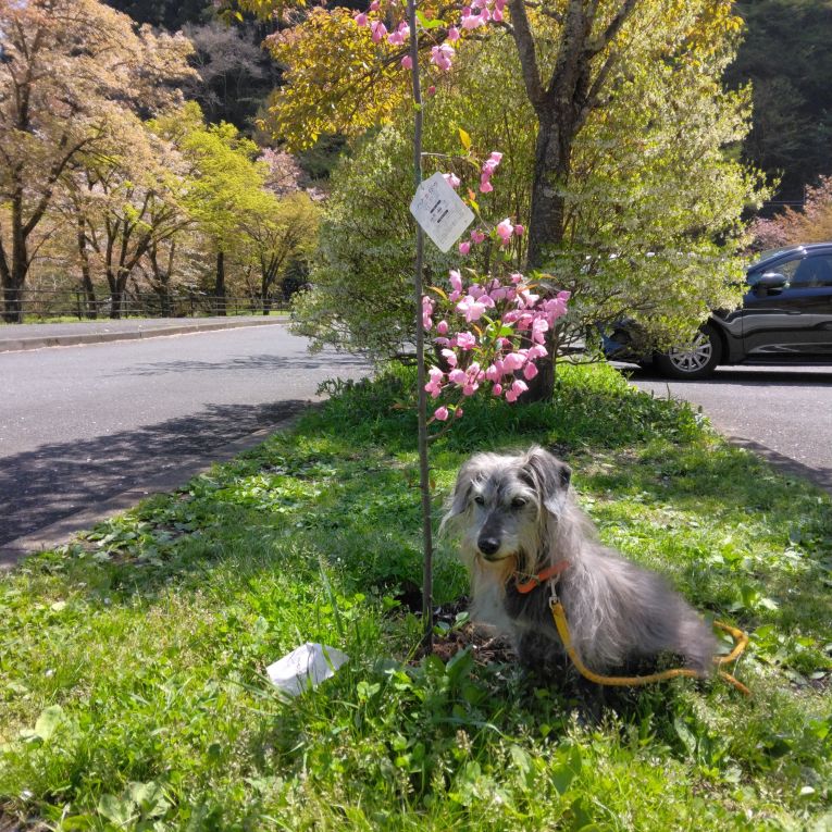 りっくちゃん