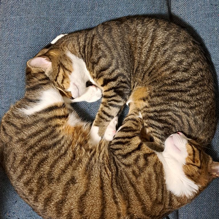 るい らいちゃん