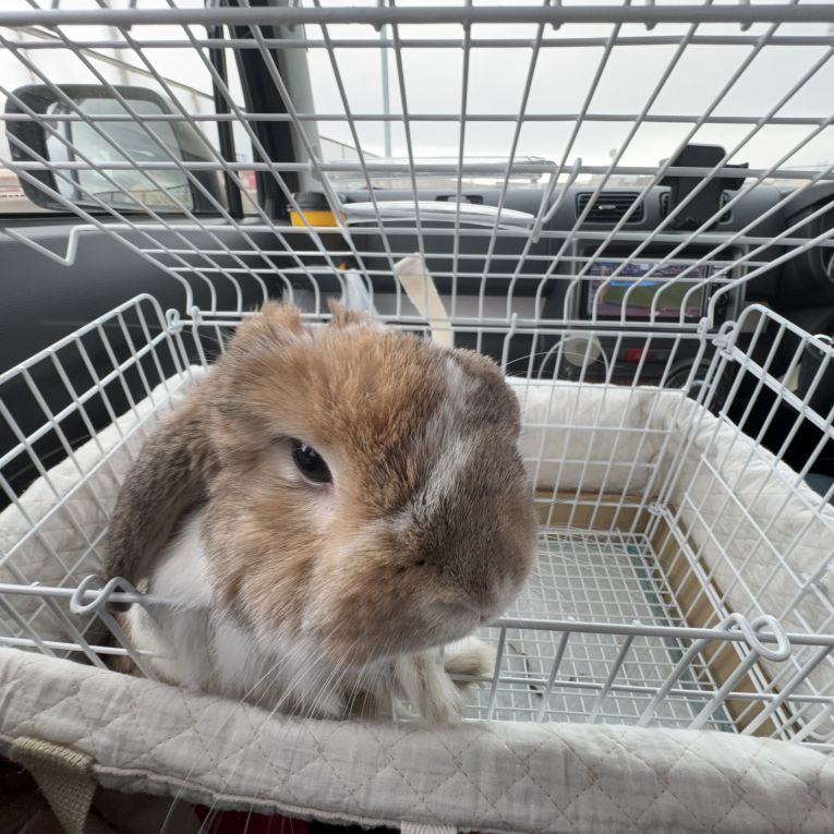 むぅちゃん