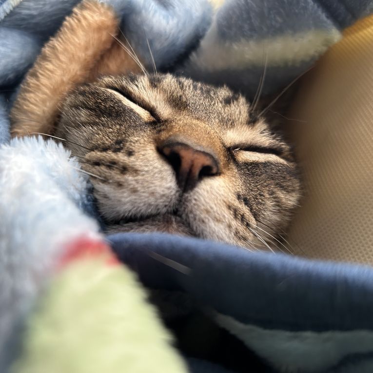 むうたちゃん