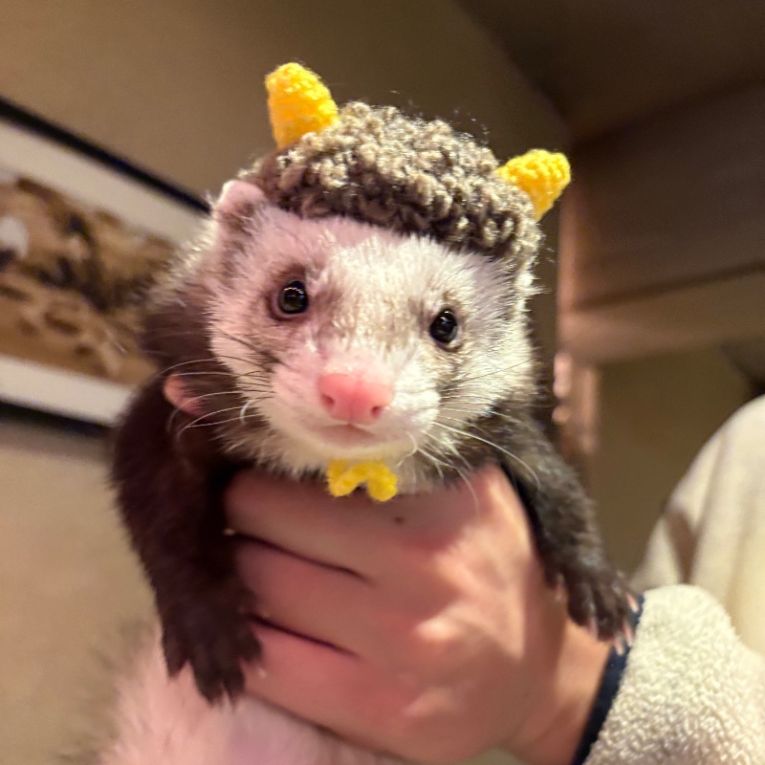 すい君ちゃん