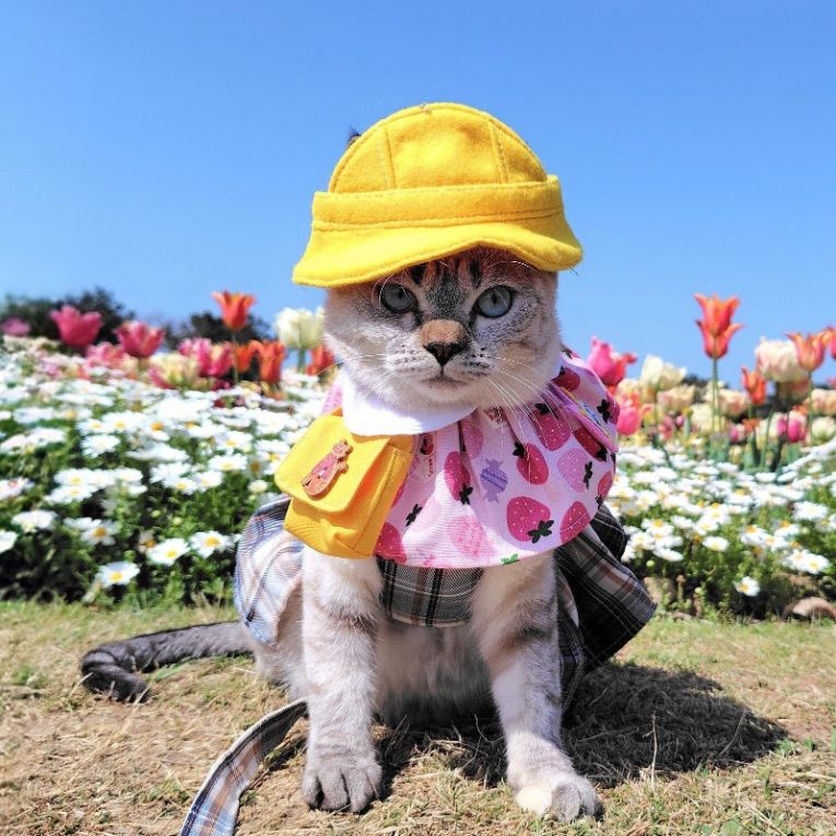 楓ちゃん