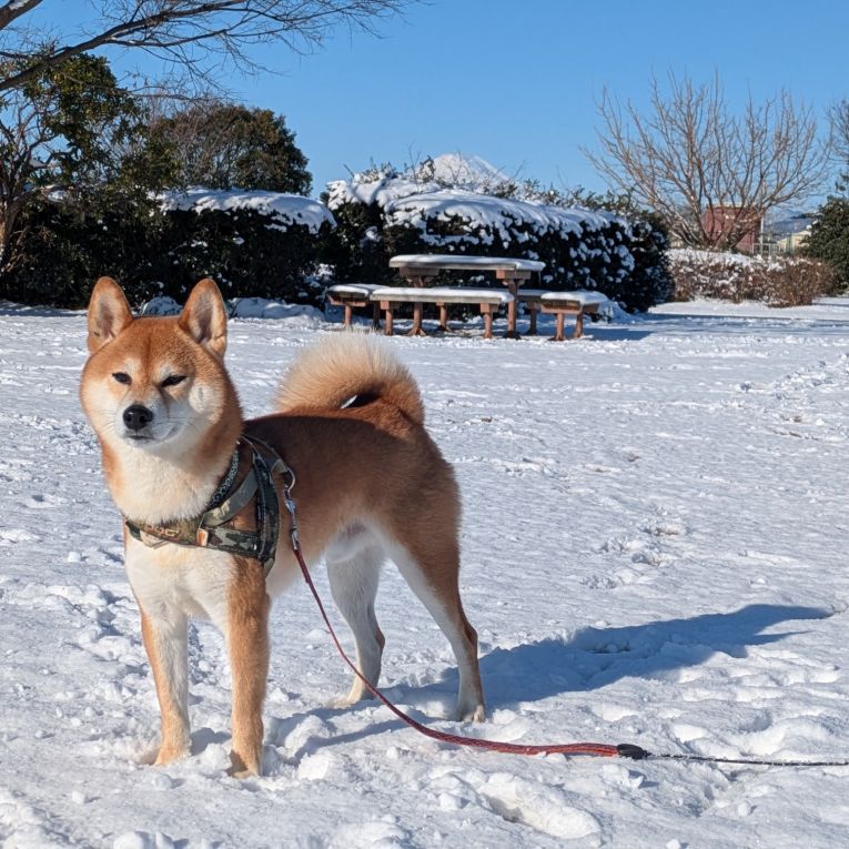 常陸ちゃん