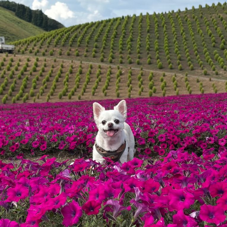 ちろちゃん