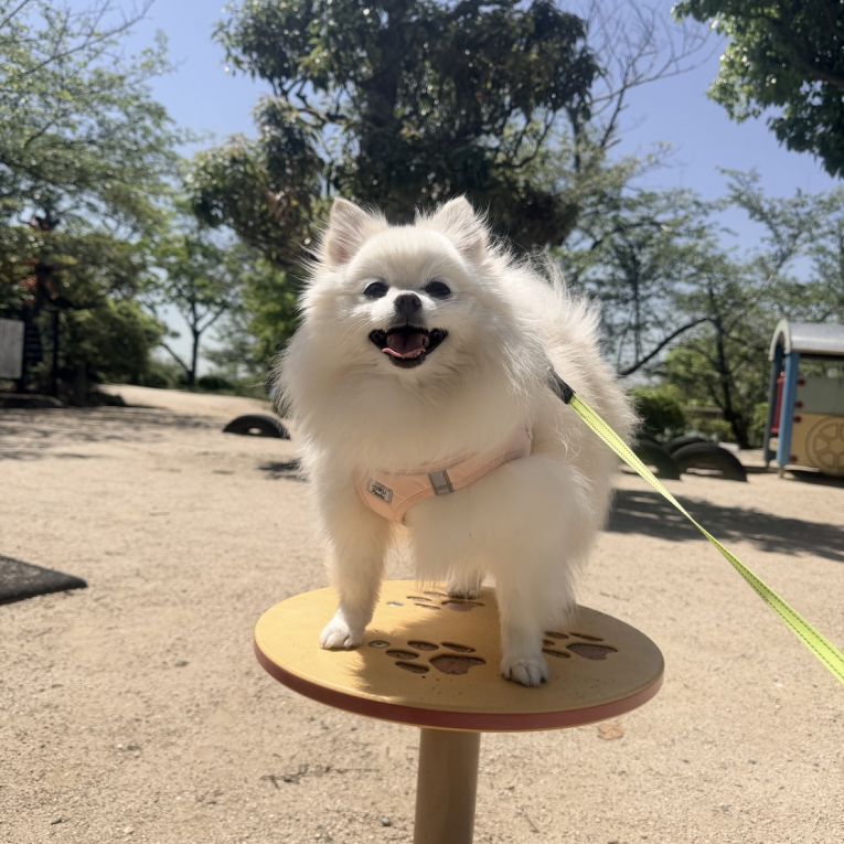 幸来(ここ)ちゃん