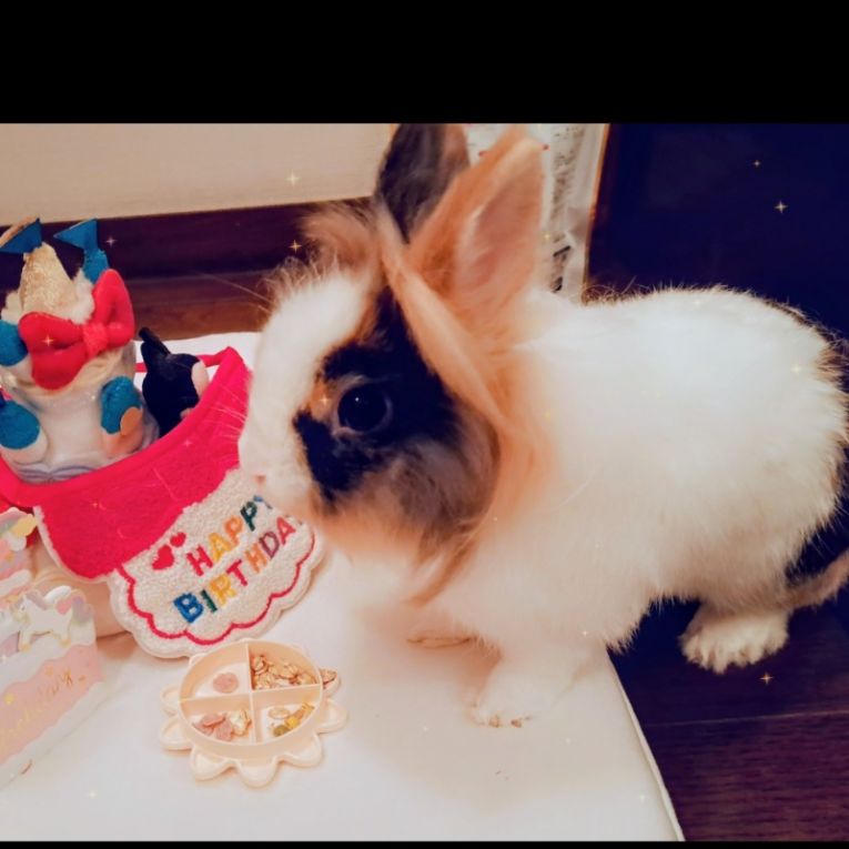 もなかちゃんちゃん