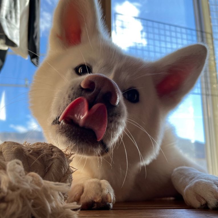 いちごちゃん