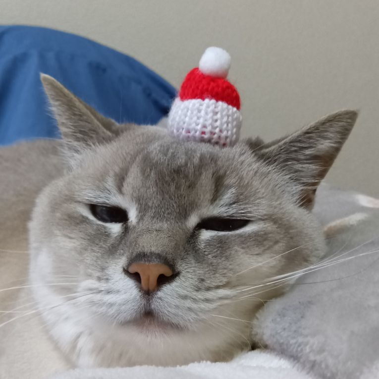 福ちゃん