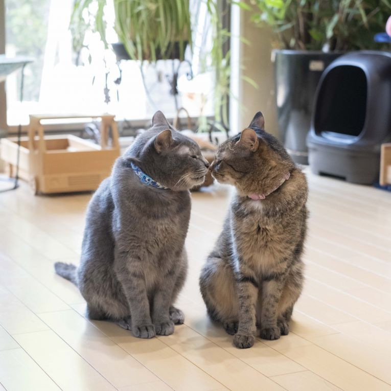 なつ&ゆずちゃん