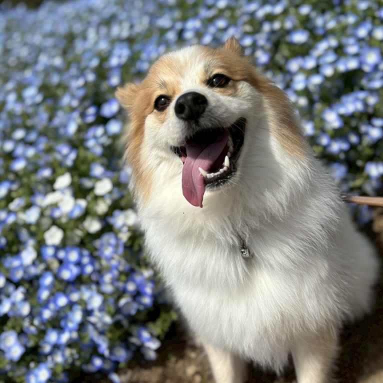 ちくわちゃん