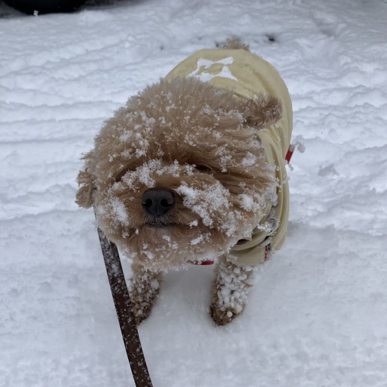 アランちゃん