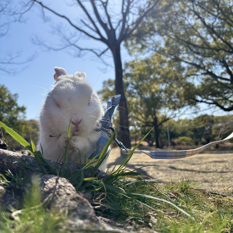 かる。ちゃん