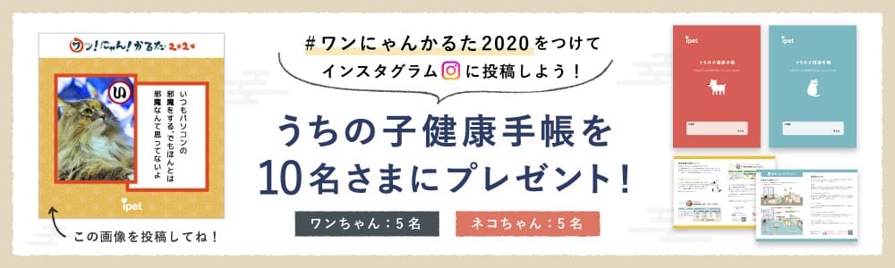 #ワンにゃんかるた2020をつけてインスタグラムに投稿しよう！抽選でうちの子健康手帳を10名さまにプレゼント！