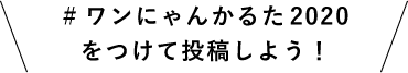 #ワンにゃんかるた2020をつけて投稿しよう！