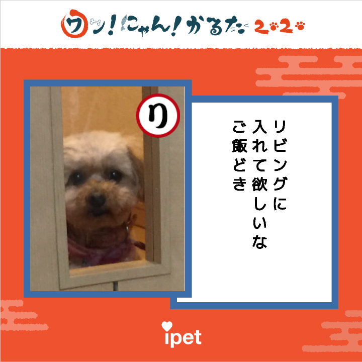 年またぎ みんなで作る ワン にゃん かるた 年またぎ みんなで作る ワン にゃん かるた