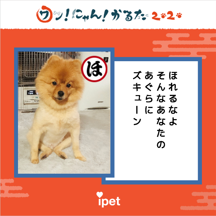 年またぎ みんなで作る ワン にゃん かるた 年またぎ みんなで作る ワン にゃん かるた