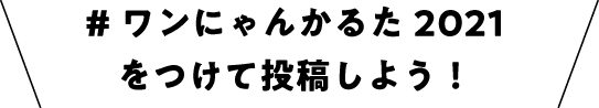 #ワンにゃんかるた2021をつけて投稿しよう！