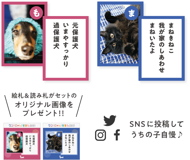 年またぎ みんなで作る ワン にゃん かるた 21 年またぎ みんなで作る ワン にゃん かるた 21