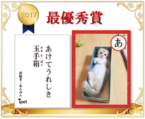 2017年の最優秀賞作品