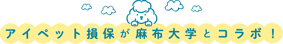 アイペット損保が麻布大学とコラボ！