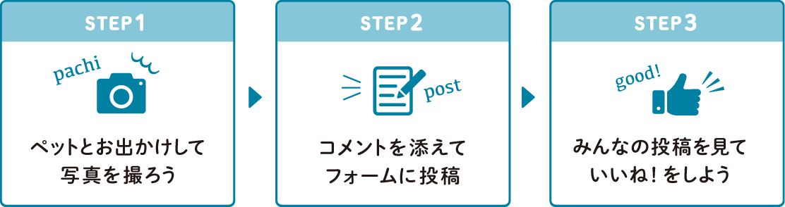STEP1：ペットとお出かけして写真を撮ろう　STEP2：コメントを添えてフォームに投稿　STEP3：みんなの投稿を見ていいね！をしよう