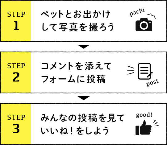 STEP1：ペットとお出かけして写真を撮ろう。STEP2：コメントを添えてフォームに投稿。STEP3：みんなの投稿を見ていいね！をしよう。