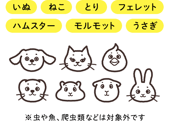 いぬ、ねこ、とり、フェレット、ハムスター、モルモット、うさぎ　※無視や肴、爬虫類などは対象外です。