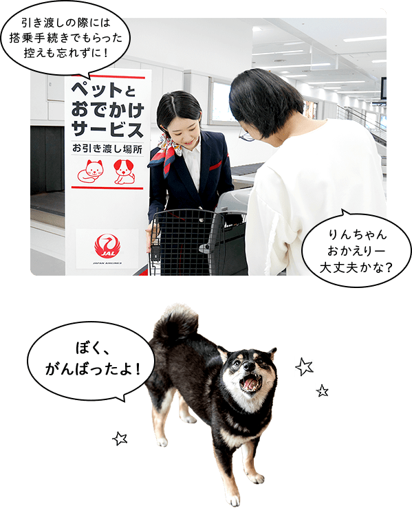 Jalで行く ペットとの空の旅のソノサキ密着取材 国内線編 お迎え編 うちの子おでかけマップ Jalで行く ペットとの空の旅のソノサキ密着取材 国内線編 お迎え編 うちの子おでかけマップ
