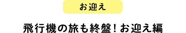お迎え　飛行機の旅も終盤！お迎え編