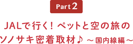 Part2 JALで行く！ペットと空のたびのソノサキ密着取材♪～国内線編～