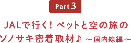 Part3 JALで行く！ペットと空のたびのソノサキ密着取材♪～国内線編～