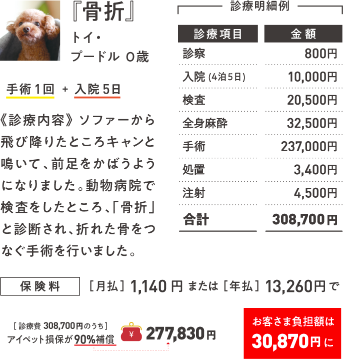 『骨折』トイ・プードル 0歳