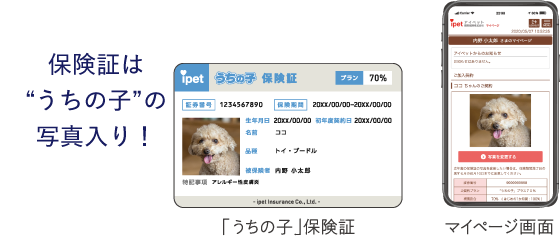 保険証は”うちの子”の写真入り